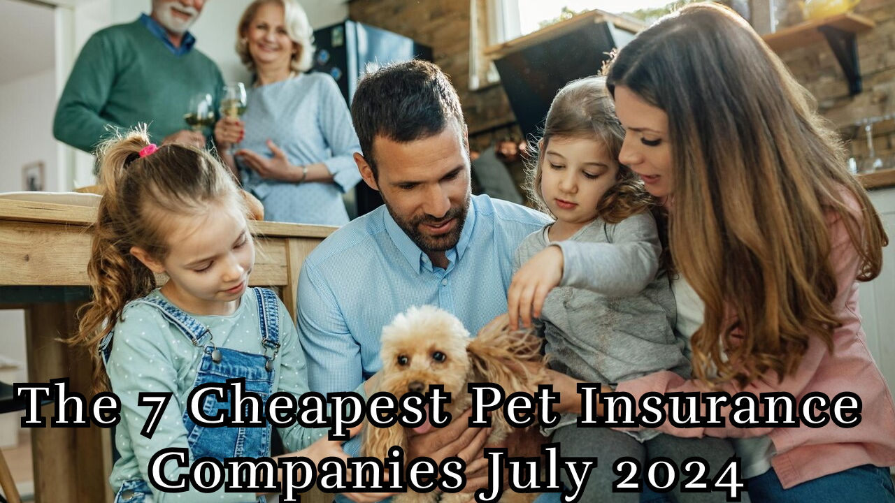 The 7 Cheapest Pet Insurance Companies July 2024